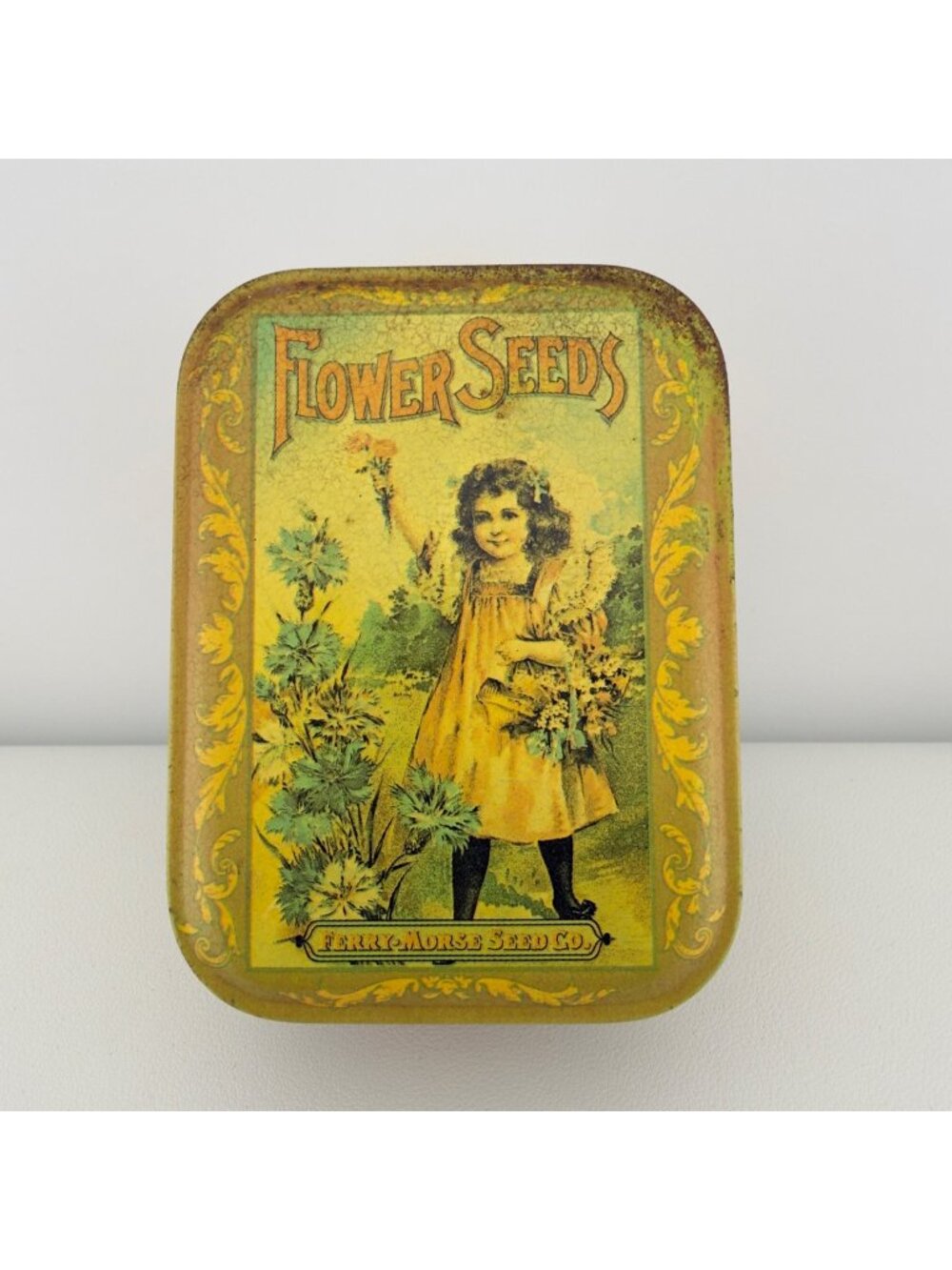 Vintage Ferry Morse Flower Seeds Tin Storage Box Advertising Decorative